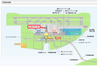 ngo-airport-map.jpg