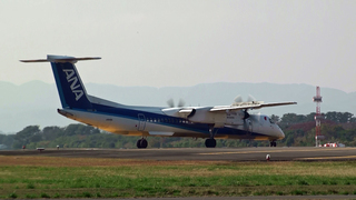 sdj-20091107-15.jpg