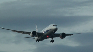 ANA-B787-20110710-1.jpg