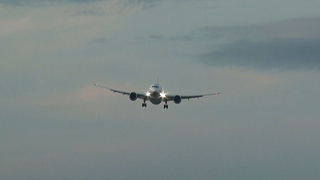 ANA-B787-20110710-11.jpg