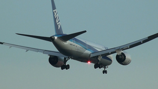 ANA-B787-20110710-2.jpg