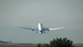 ANA-B787-20110710-8.jpg