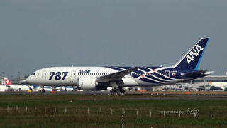 nrt-20111030-ANA787.jpg
