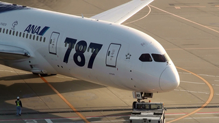 hnd-20111113-787-3.jpg