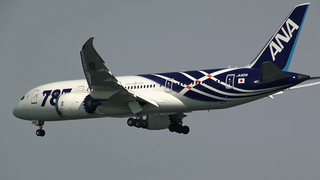 hnd-20111113-787-9.jpg