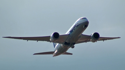 hnd-ANA787-20120114-2.jpg