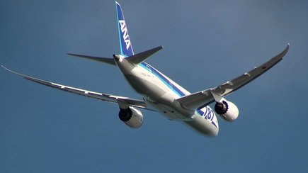 hnd-ANA787-20120114-3.jpg