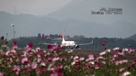 takamatsu-jal737.jpg